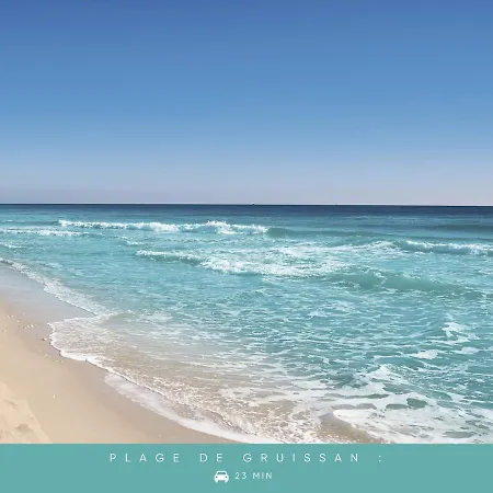 Le Bicolore ~ Rue Calme ~ Centre-ville